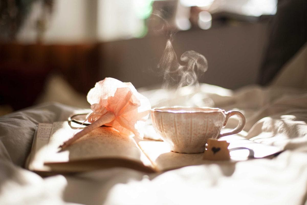 Perfumes y Cosméticos